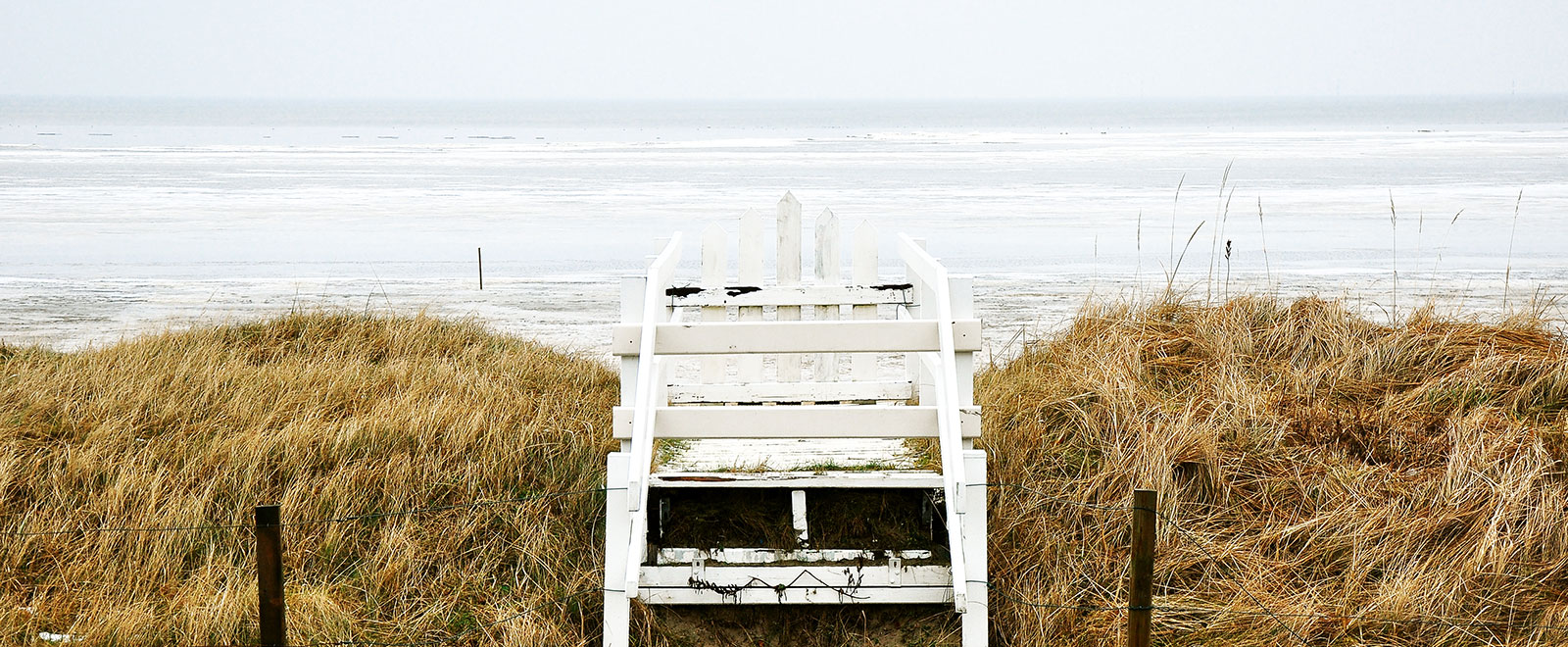 呼死你软件下载