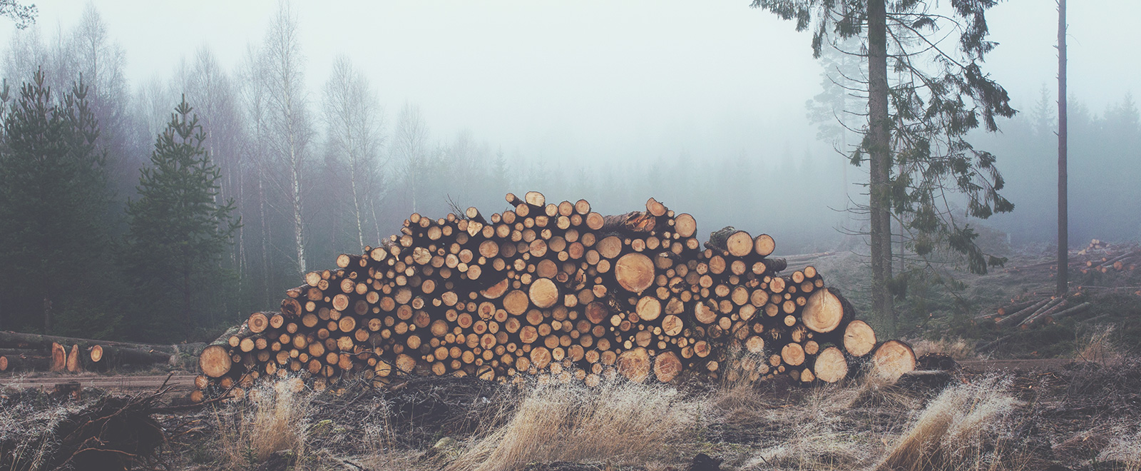 手机号呼叫轰炸app